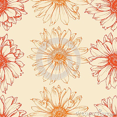 Calendula flower seamless pattern Vector Illustration