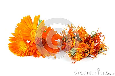 Calendula officinalis flower, marigold, dried Stock Photo