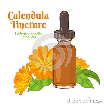 Calendula tincture in glass bottle and orange flowers Vector Illustration