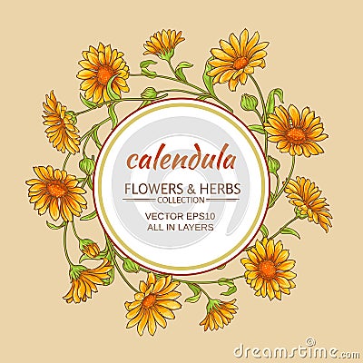 Calendula vector frame Vector Illustration