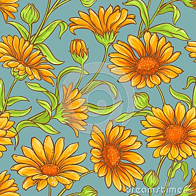 Calendula vector seamless pattern Vector Illustration