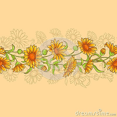 Calendula vector seamless pattern Vector Illustration