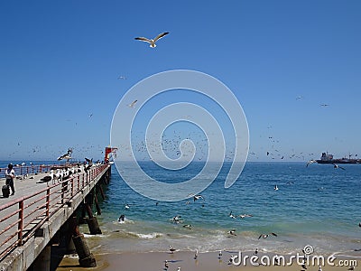 Caleta Portales is a fishing port in Valparaiso Stock Photo