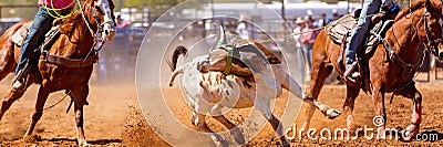 Australian Team Calf Roping Rodeo Event Stock Photo