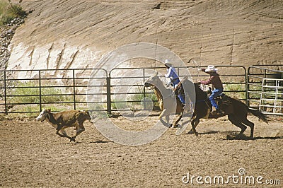 Calf roping, Inter-Tribal Ceremonial Indian Rodeo, Gallup NM Editorial Stock Photo