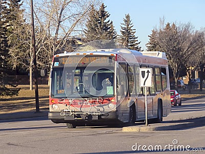 A Calgary public transit bus following its regular route Editorial Stock Photo