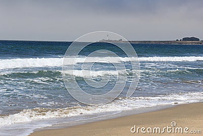 California beach with century plant Stock Photo