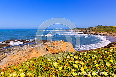 California Bean Hollow State beach in Cabrillo Hwy Stock Photo