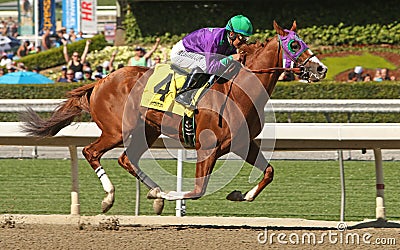 California Chrome Wins The San Felipe Stakes Editorial Stock Photo