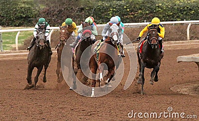 California Chrome Wins The San Pasqual Stakes Editorial Stock Photo