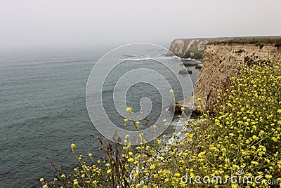 California coast, rugged cliffs at Davenport. Stock Photo