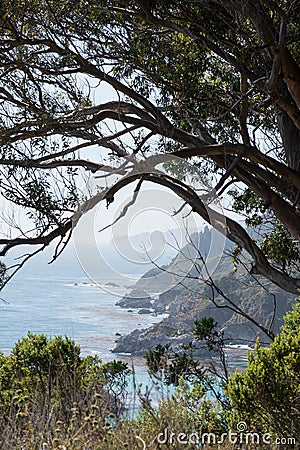 California coast with tree framing Stock Photo