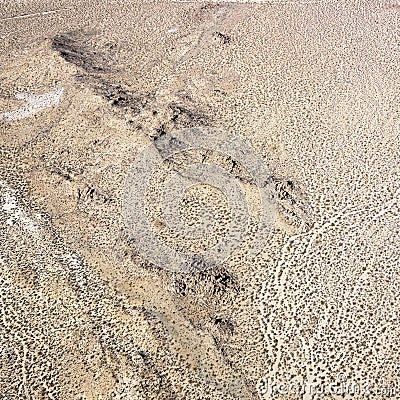 California desert Stock Photo