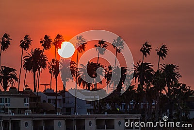 California Dreamin Stock Photo