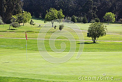 California generic golf course green Stock Photo