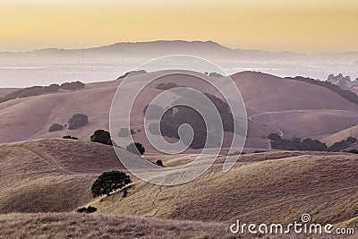 California Golden Hills Stock Photo