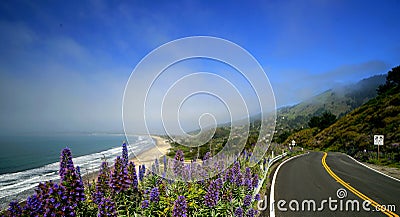 California Highway No. 1 Stock Photo