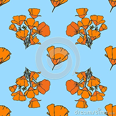 California poppies blossom flowers pattern Stock Photo