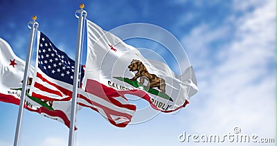 California and USA flags waving in the wind on a clear day Cartoon Illustration
