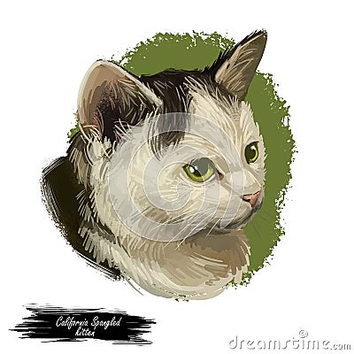 California Spangled Cat Portrait Isolated, Digital Art Cartoon Illustration