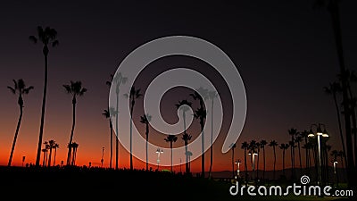 California summertime dusk twilight aesthetic, purple dramatic sunset. Palm tree iconic silhouettes on famous Venice beach, Santa Stock Photo