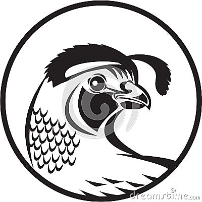 California Valley Quail Circle Black and White Vector Illustration