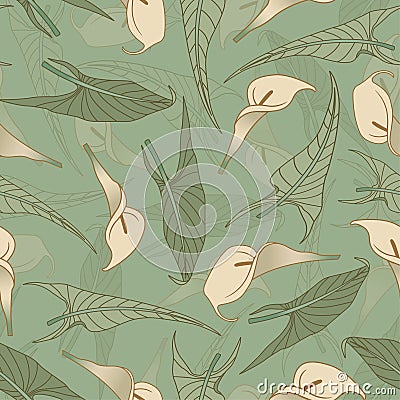 Calla Vector Illustration