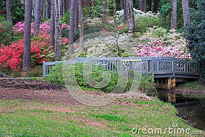 Callaway Gardens Azalea Overlook Pine Mountain Georgia Stock Photo