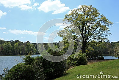 Callaway Gardens Stock Photo