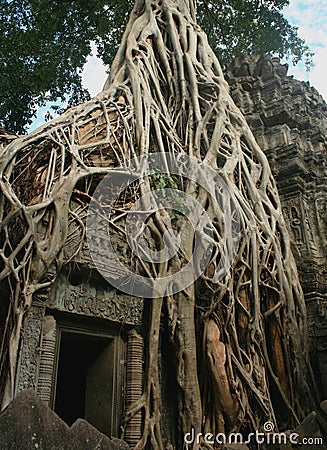 So called Tomb Raider gate at the Ta Prohm temple in Angkor area, Cambodia Stock Photo