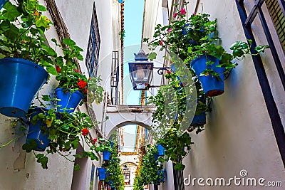 Calleja de las flores in Cordoba Stock Photo