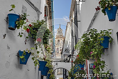 Calleja de las Flores in Cordoba, Andalusia, Spain. Stock Photo