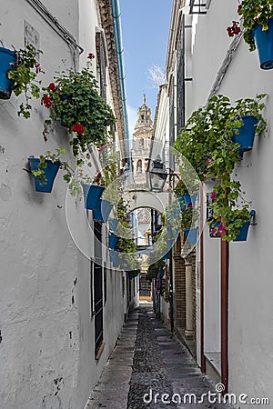 Calleja de las Flores in Cordoba, Andalusia, Spain. Stock Photo