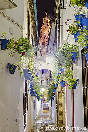 Calleja de las Flores in Cordoba, Andalusia, Spain. Stock Photo