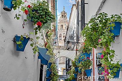 Calleja de las Flores in Cordoba, Andalusia, Spain. Stock Photo