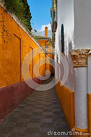 Callejon Agua street in Seville Andalusia spain Stock Photo