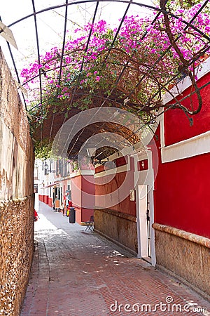 Callejon Agua street in Seville Andalusia spain Stock Photo