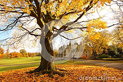 Callendar House in Autumn, Falkirk, Scotland Stock Photo