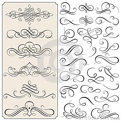 Calligraphic Flourishes And Scroll Elements Vector Illustration