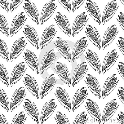 Calligraphy corn seamless vector white pattern Vector Illustration