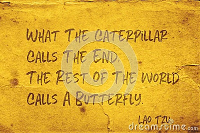 Calls a butterfly Lao Tzu Stock Photo