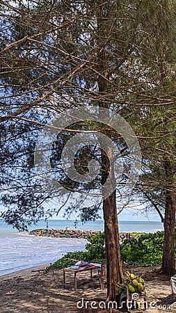 Calm Air and Coconut at Penyu Beach Stock Photo