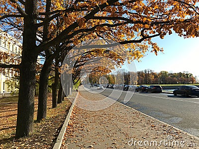 Calm autumn cityscape on sunny day. Alley of trees, sidewalk strewn with golden leaves and embankment with row of cars Stock Photo