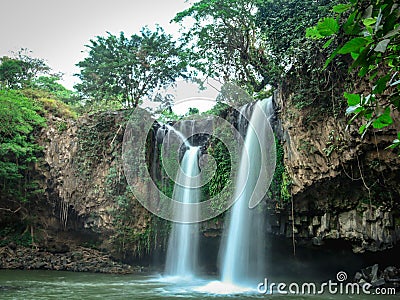 Calm and fresh atmosphere in green nature Stock Photo