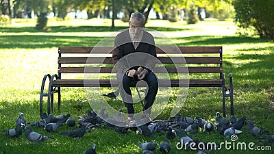 Calm old man sitting on bench in park and feeding pigeons, loneliness in old age Stock Photo