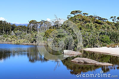 Ship Creek, West Coast, South Island, New Zealand Stock Photo