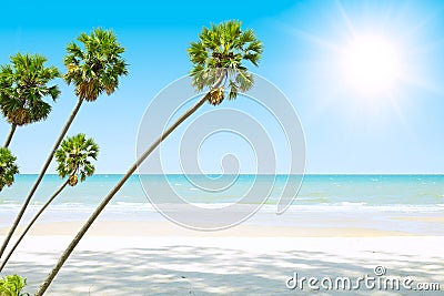 calm quiet summer sea beach wide ocean view with high palm trees tropical island blank space for advertising background Stock Photo