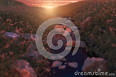 calm stream at grassland in front of beautiful sunset Stock Photo