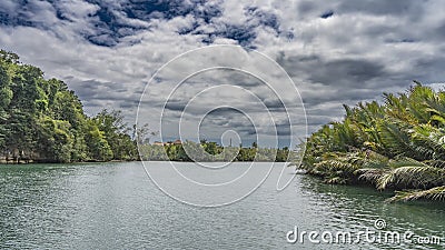 A calm turquoise river in the jungle. Philippines. Bohol. Loboc river. Stock Photo