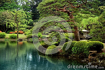 Calm Zen lake and bonzai trees Stock Photo